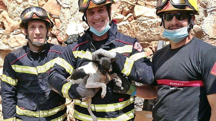 Rescatan a un perro atrapado en un pozo