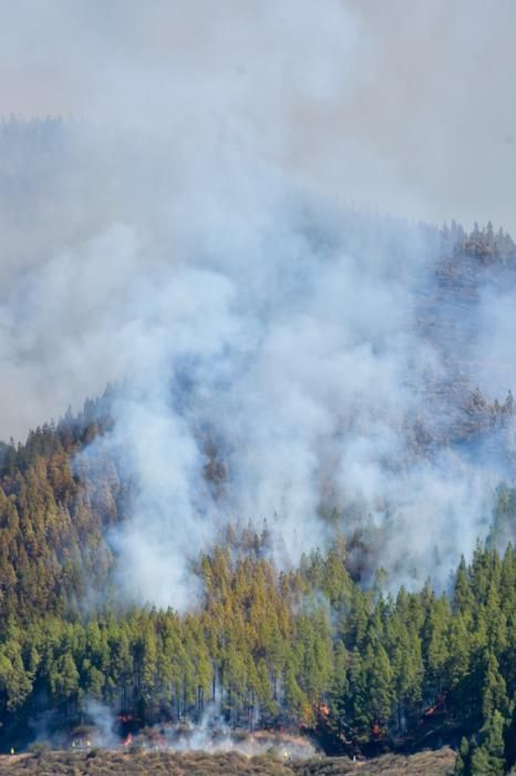 10-08-2019 ARTENARA. Incendio en la cumbre de Gran Canaria  | 10/08/2019 | Fotógrafo: Andrés Cruz