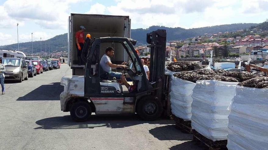 Un momento de la descarga de mejillón ayer en el puerto de Bueu. // Gonzalo Núñez