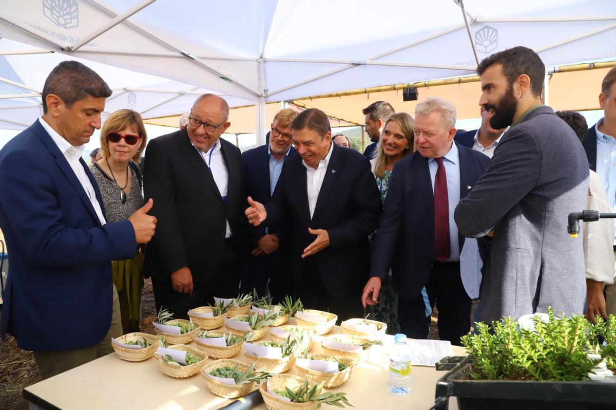 Lefteris Avgenakis, ministro de Desarrollo Rural y Alimentación griego, levanta el pulgar al observar distintas variedades de aceitunas.