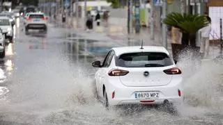 La lluvia golpea Ibiza de madrugada: casi 40 litros en una hora, inundaciones y árboles caídos