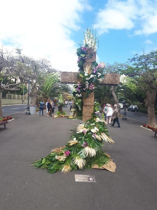 Concurso de Cruces de Flores Naturales