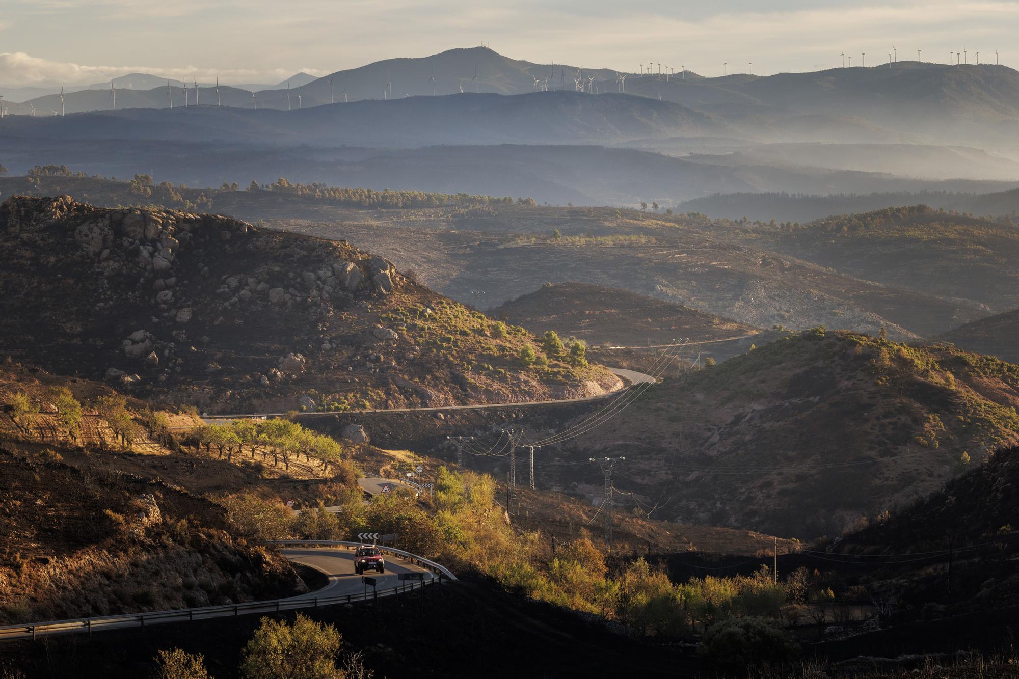 La lluvia reduce la llama del incendio de Bejís hasta casi desaparecer