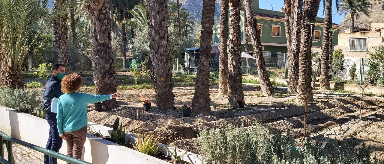 Germinan palmeras y hortalizas en el huerto del colegio Antonio Sequeros