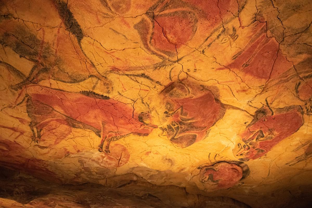 Los bueyes pintados en el techo de las Cuevas de Altamira