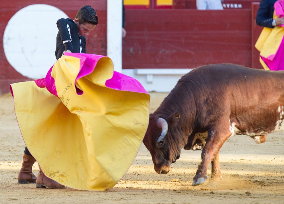 Fervor por los nuevos valores en la becerrada de la feria de San Juan