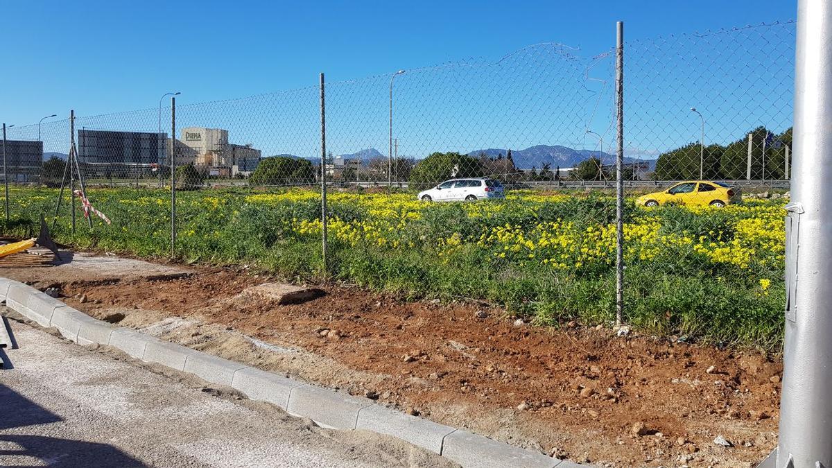 Una de las actuaciones en Son Cladera.