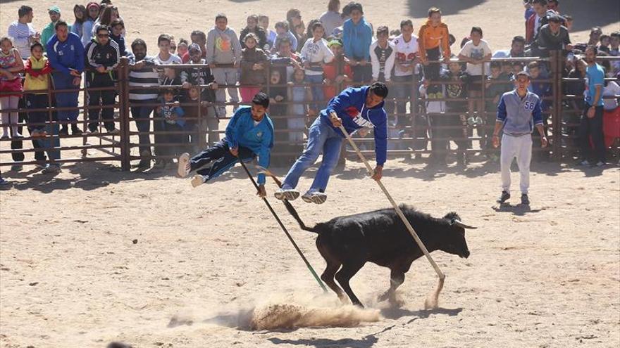La consulta sobre las vaquillas del Casco Antiguo de Badajoz se celebra mañana