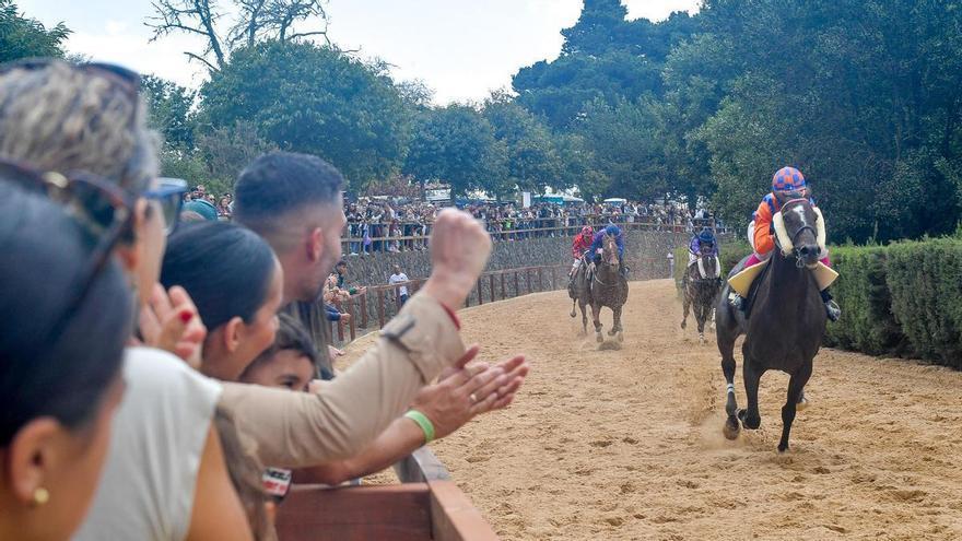Valleseco pone precio a las carreras de caballos