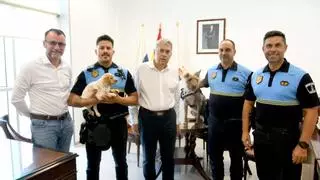 Moka, la nueva policía canina para luchar contra las drogas en San Bartolomé de Tirajana