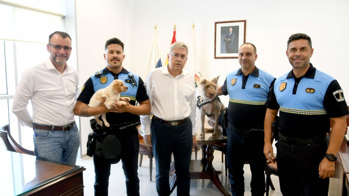 Por la izquierda, José Carlos Álamo, Abel Almeida, Marco Aurelio Pérez, José Alberto Santana e Isidro Armas.