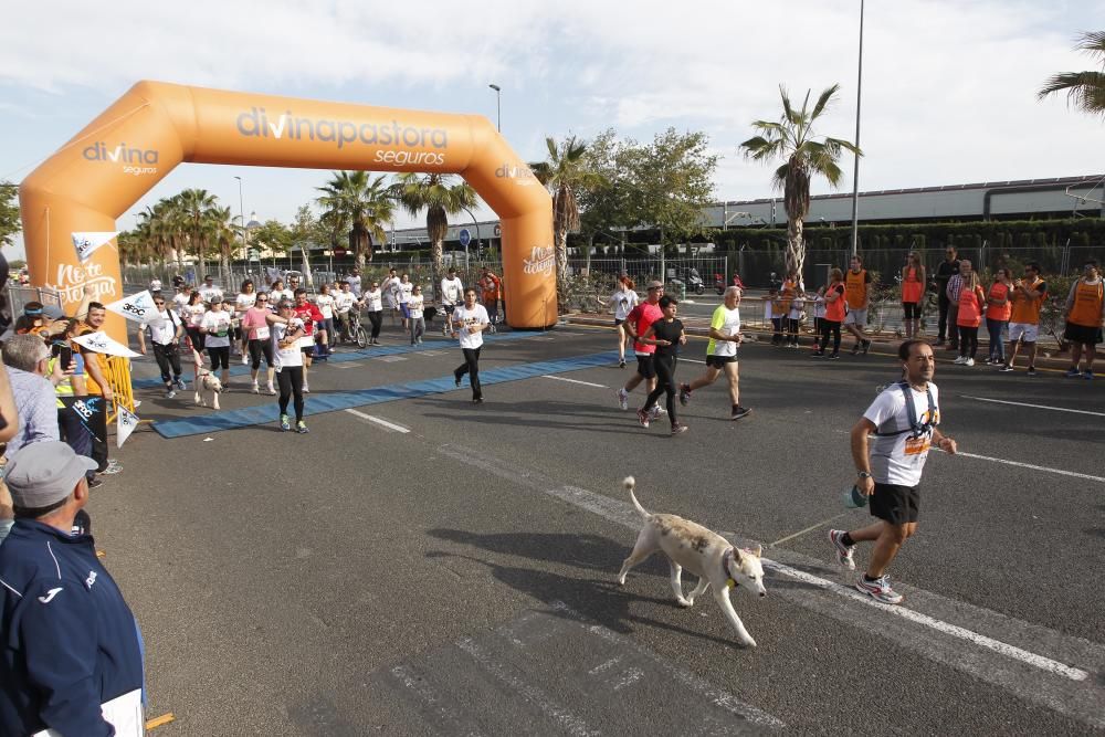 Búscate en la Carrera Llevant de Divina Pastora