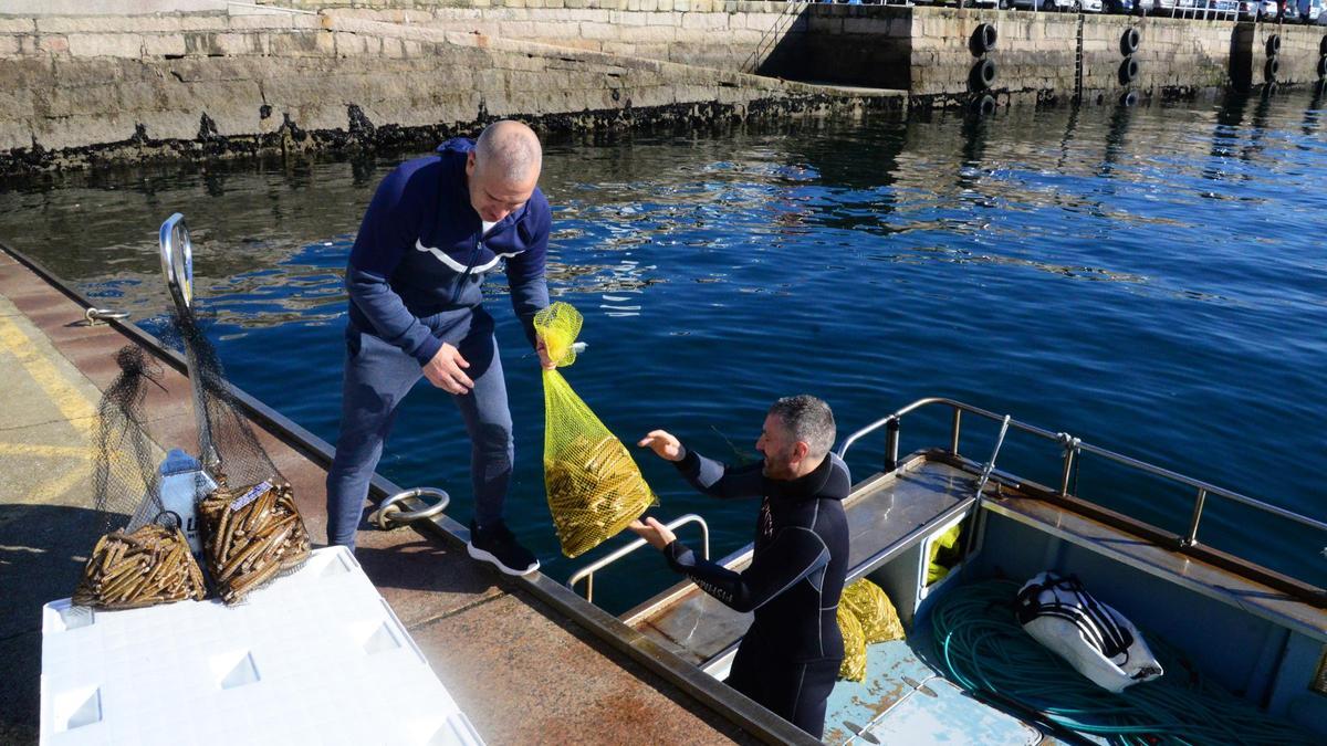 Dos navalleiros de Cangas descargan, ayer delante de la lonja, las capturas de la jornada.