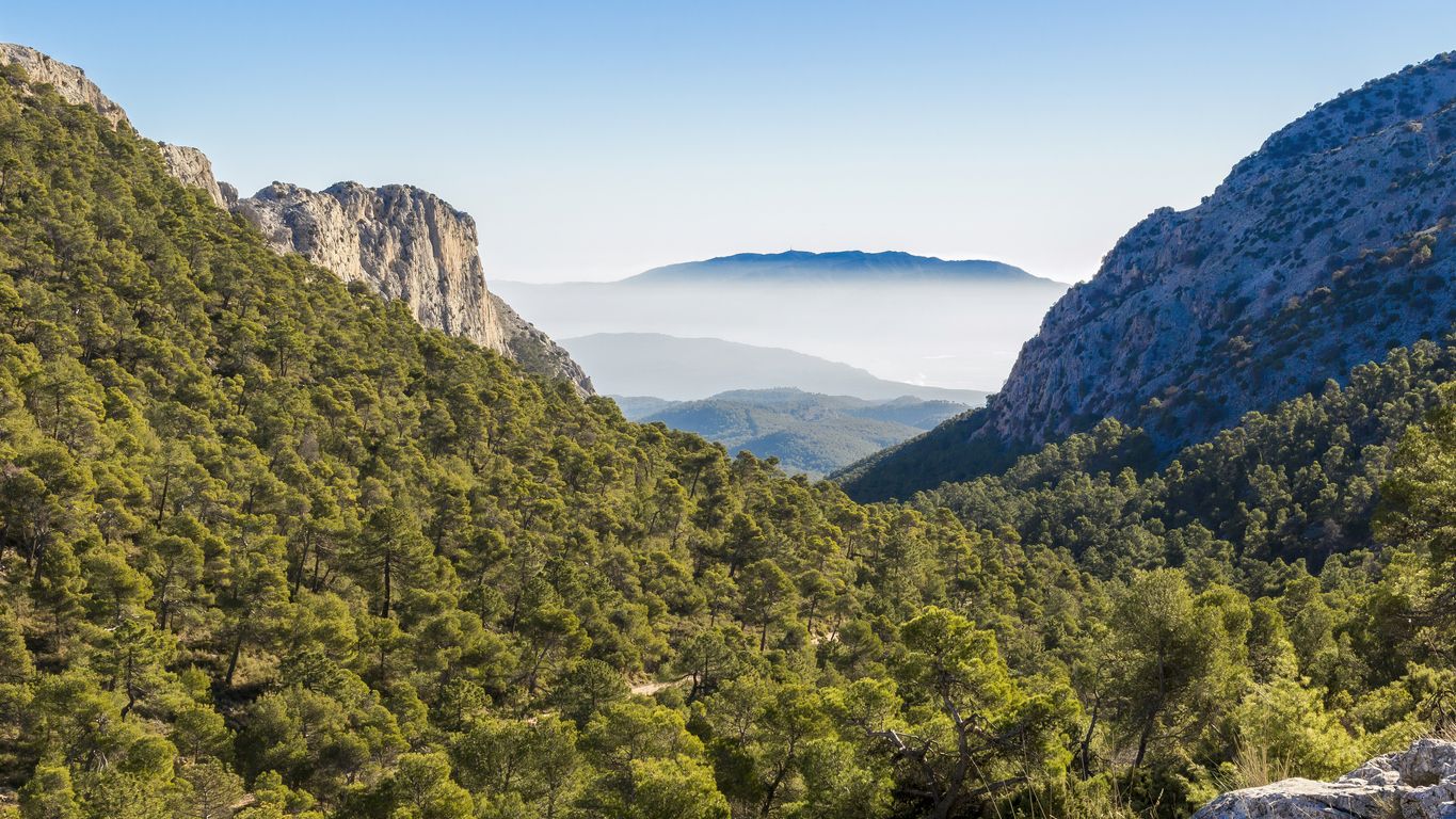 Caminar por Espuña te lleva a estos paisajes