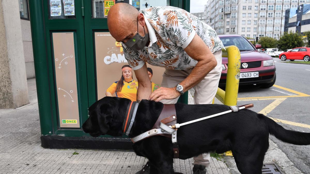 Perros guía: mucho más que sus ojos - La Opinión de A Coruña