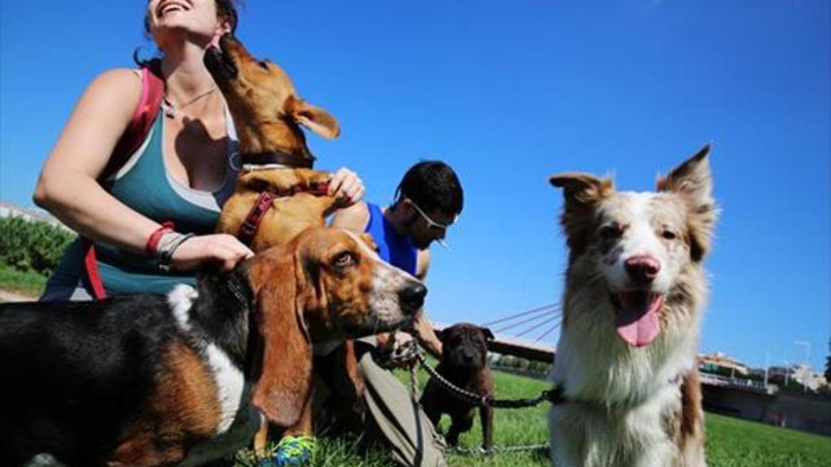 Melody Ruiz y José Casanovas juguetean con unos perros ante el puente del Potosí.