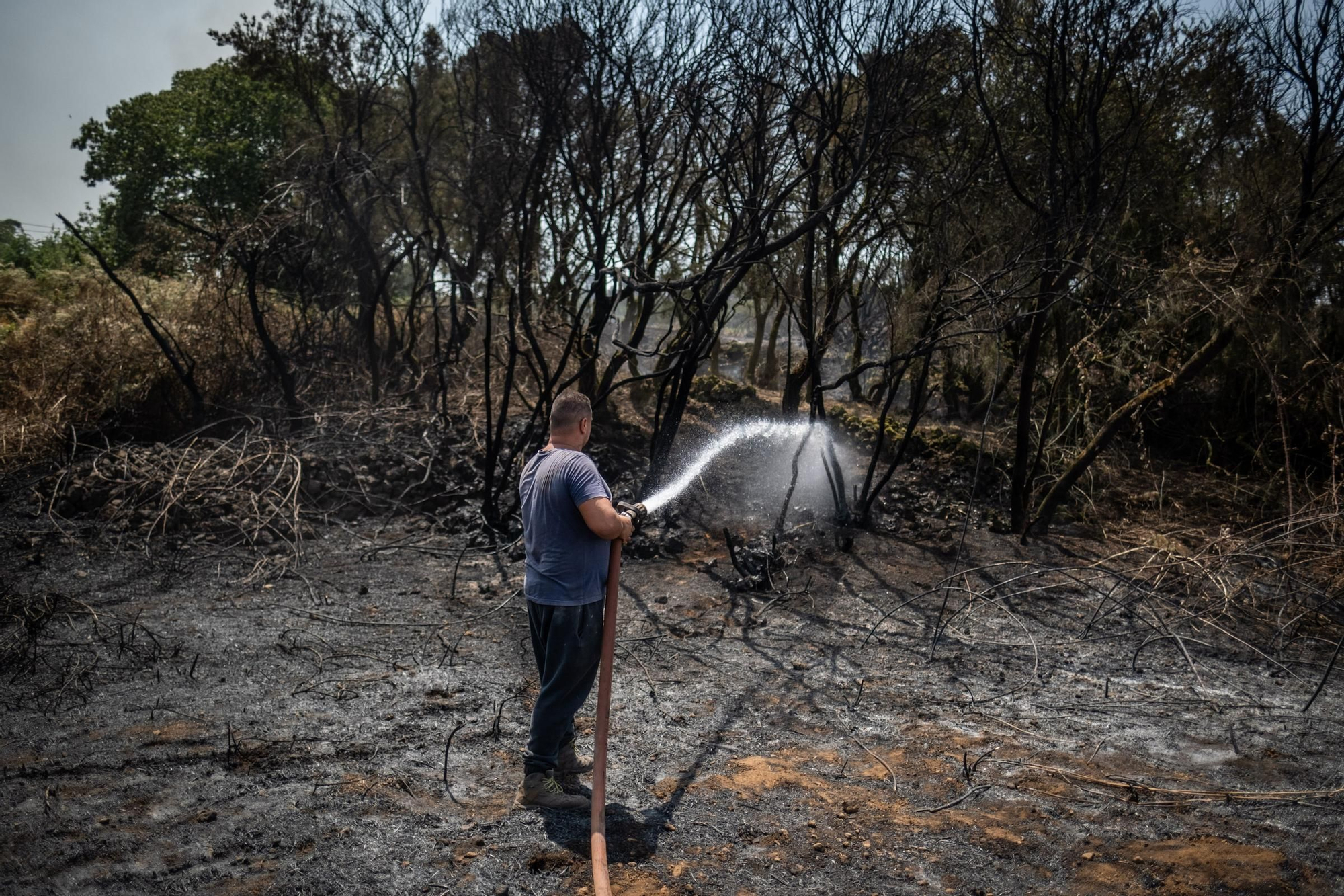 Monitoring of the fire in Tenerife