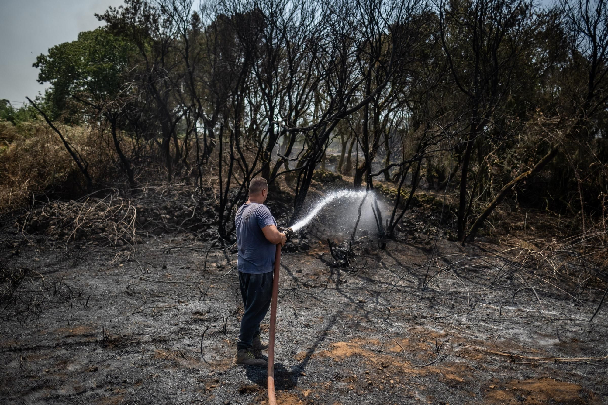 Seguimiento del incendio en Tenerife