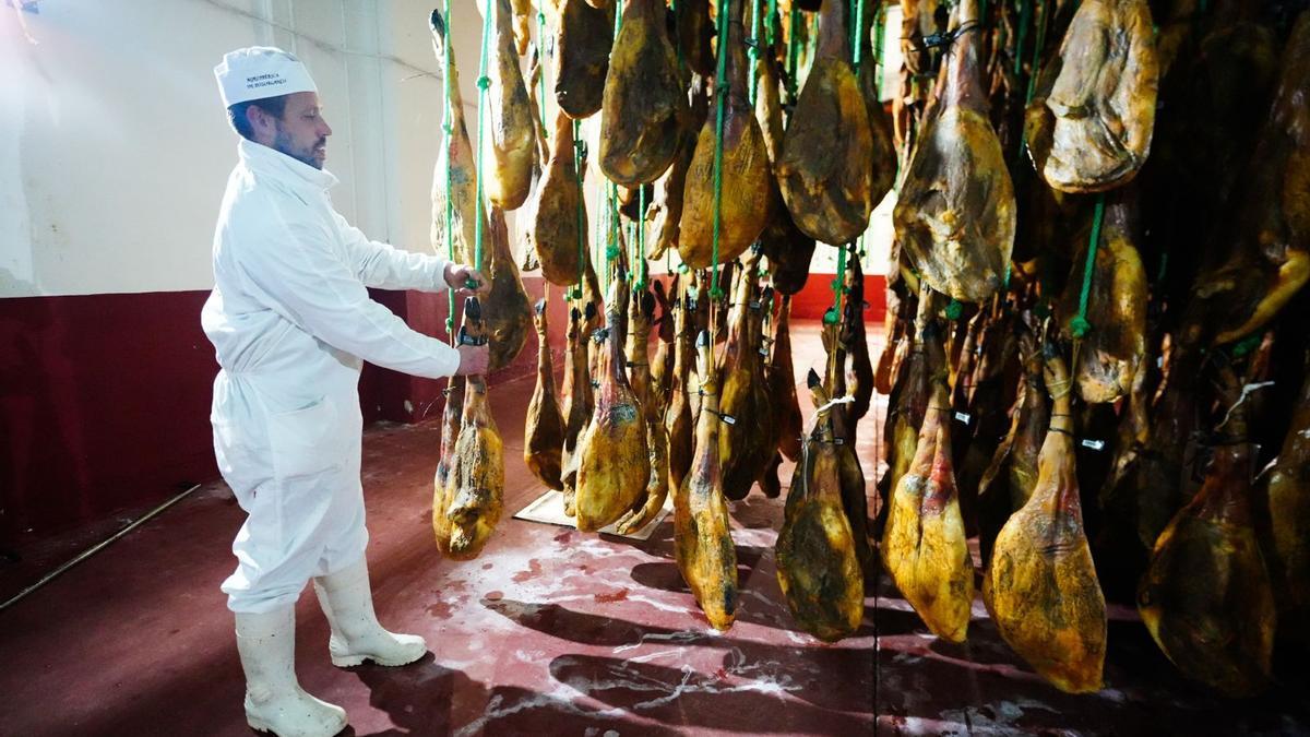 Bodega de una empresa de jamones de Los Pedroches, que constituye el proceso final de curación.