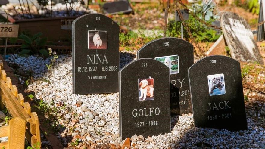 Cementerio de mascotas en Llobregat.