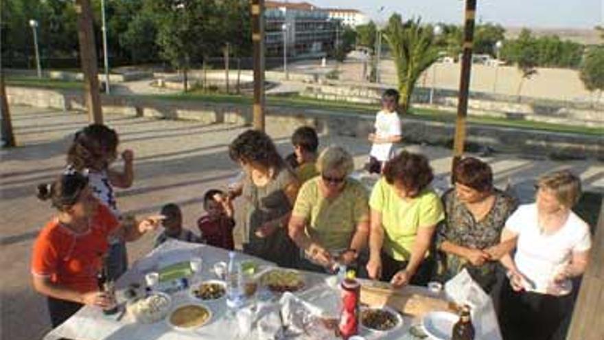 San Blas pide el vallado del jardín de Valhondo para impedir daños