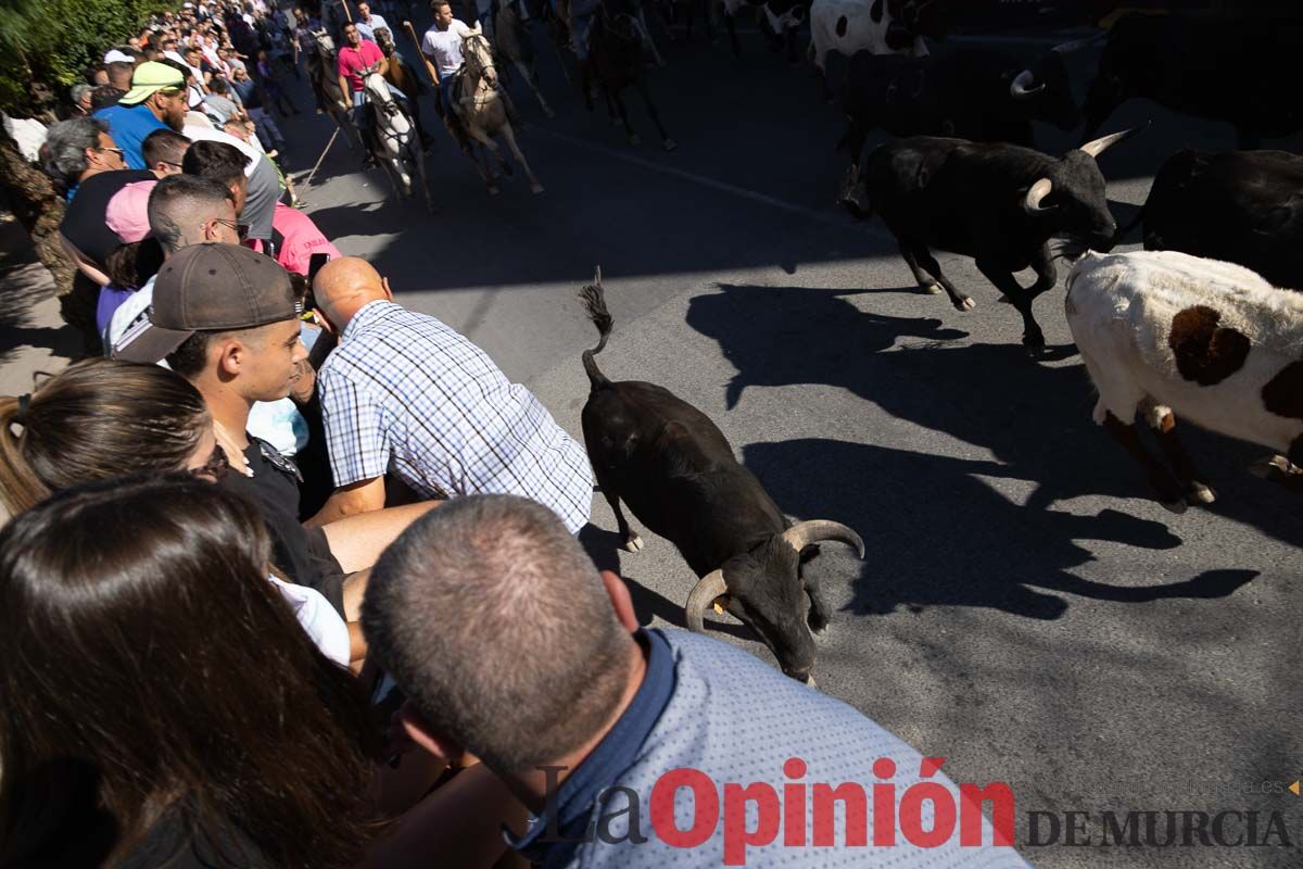 Último encierro en las Fiestas de Moratalla