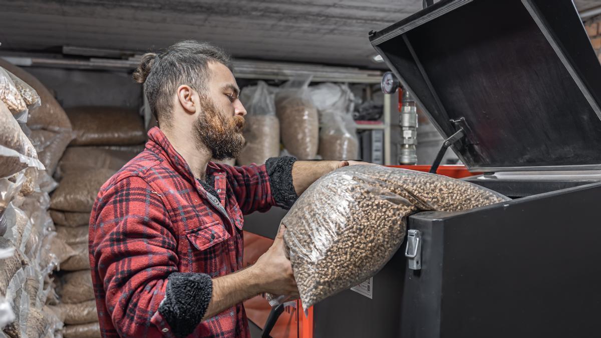 cisne vestir taburete Calderas de pellets para radiadores | La solución ecológica y económica para  calentar toda la casa