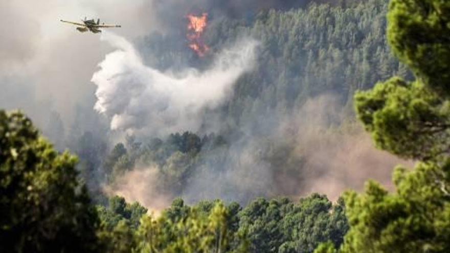 Accions per evitar incendis com el de l&#039;estiu va ser la proposta més votada