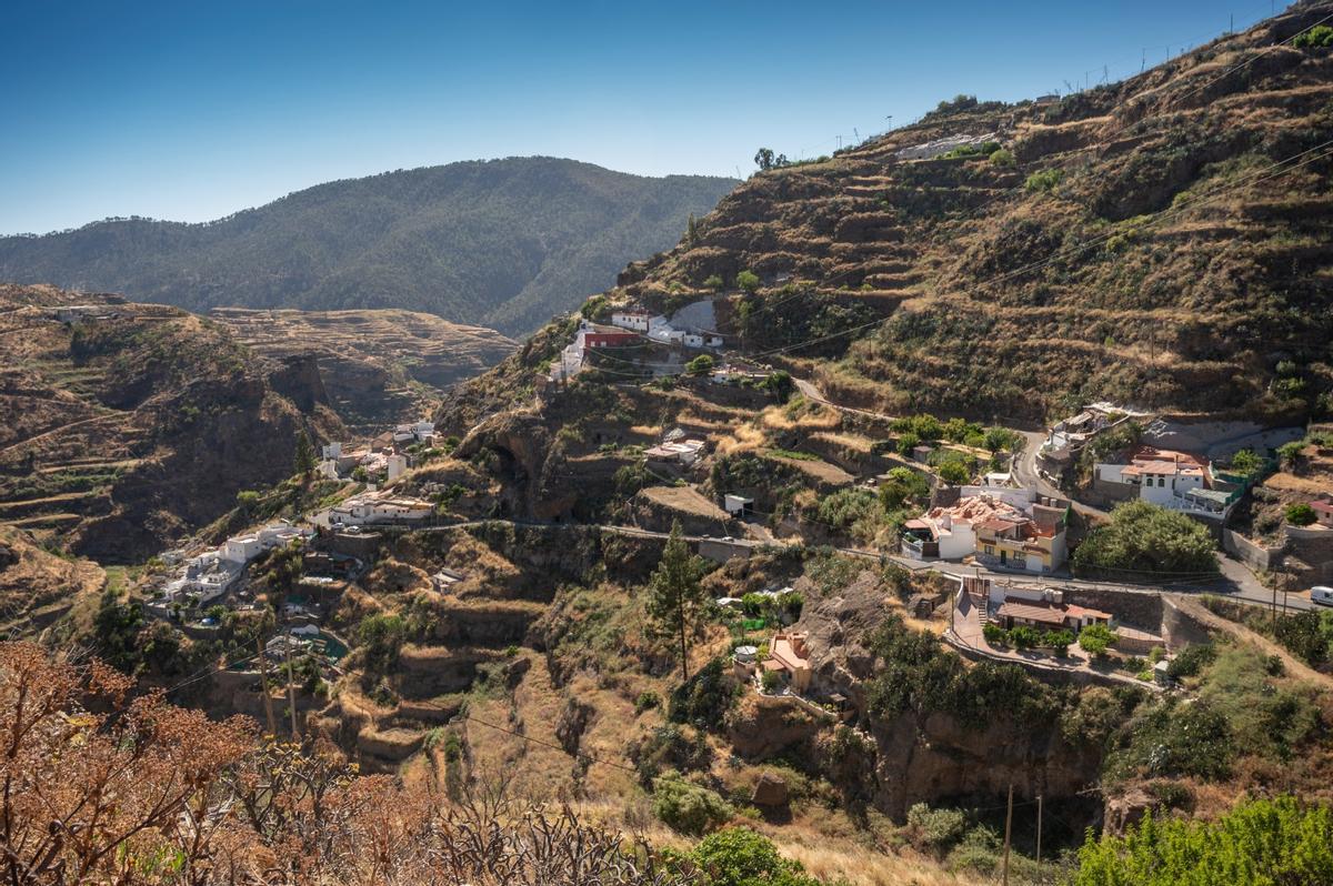 Bancales en Barranco Hondo.