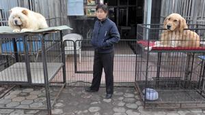 SHE02 SHENYANG (CHINA) 18.11.08 Dos perros en jaulas esperan a recibir un nuevo dueño en un mercado de mascotas en Shenyang (China), el 18 de noviembre de 2008. A medida que la crisis económica empeora en el gigante asiático, cada vez más propietarios de animales domésticos se ven obligados a vender a sus mascotas, especialmente a los perros de gran tamaño. EFE/Weitao Tian