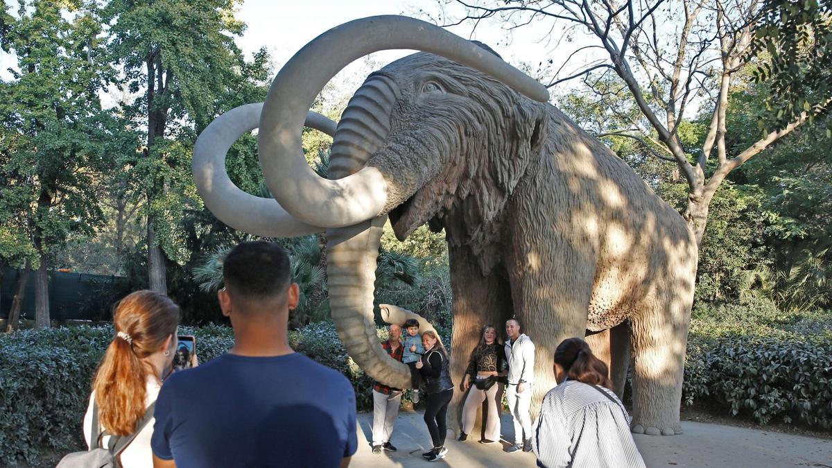 BARCELONA 01/11/2022 El Mamut de la Ciutadella recupera toda la trompa y la cola FOTO de ALVARO MONGE