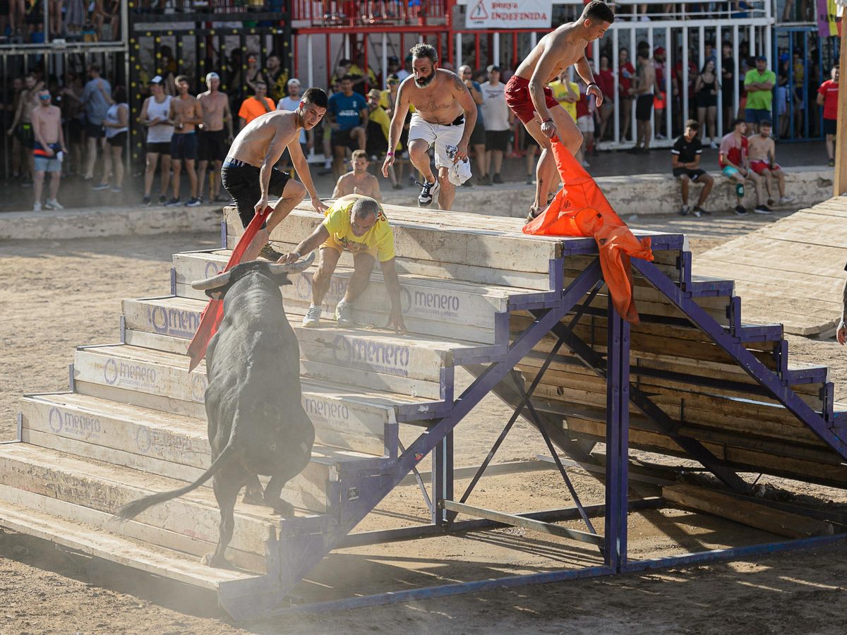El toro de Benavent (en la imagen) se ha quedado lejos del ganador del concurso, 'Valenciano', de Laura Parejo.