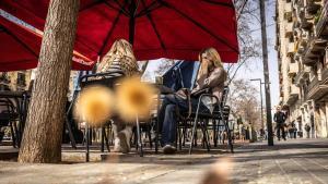Motas de polen de los plataneros de paseo de Sant Joan, en Barcelona.