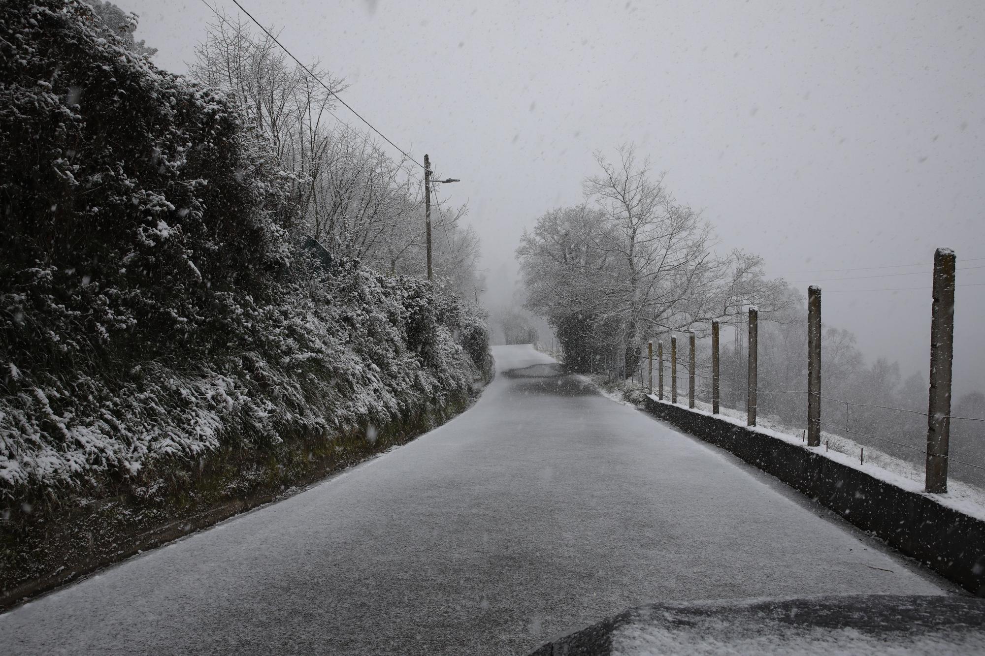 En imágenes: La borrasca Juliette llena de nieve parte de la zona rural de Gijón