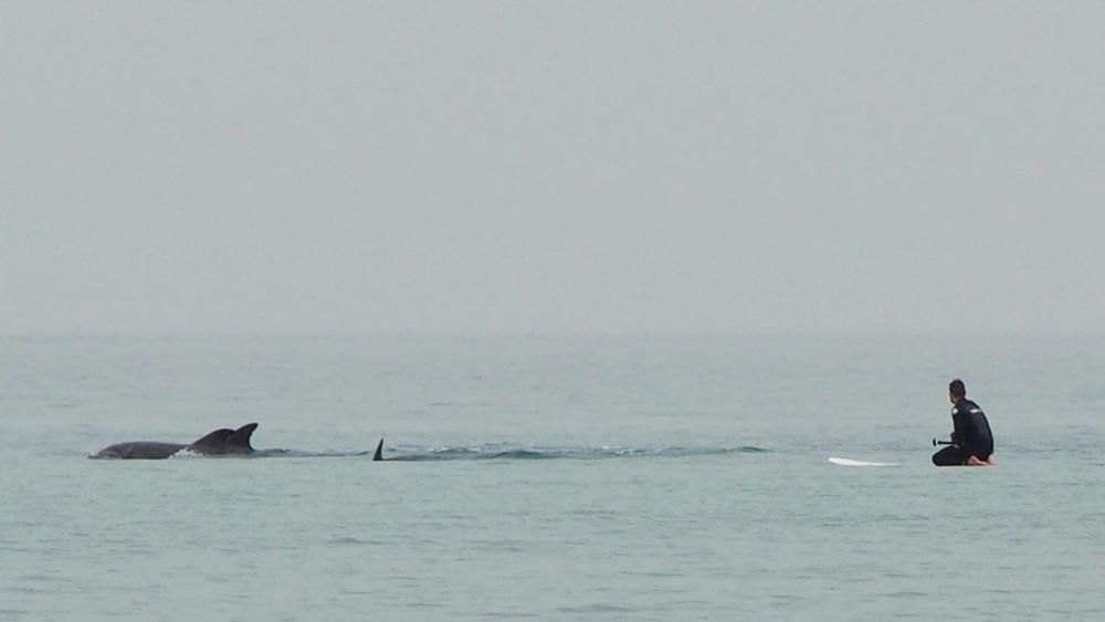 Alumnos de Los Pericones en San Lorenzo con los delfines