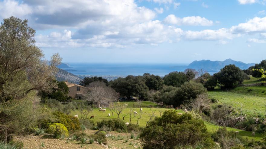 Terrenos en venta en Mallorca.