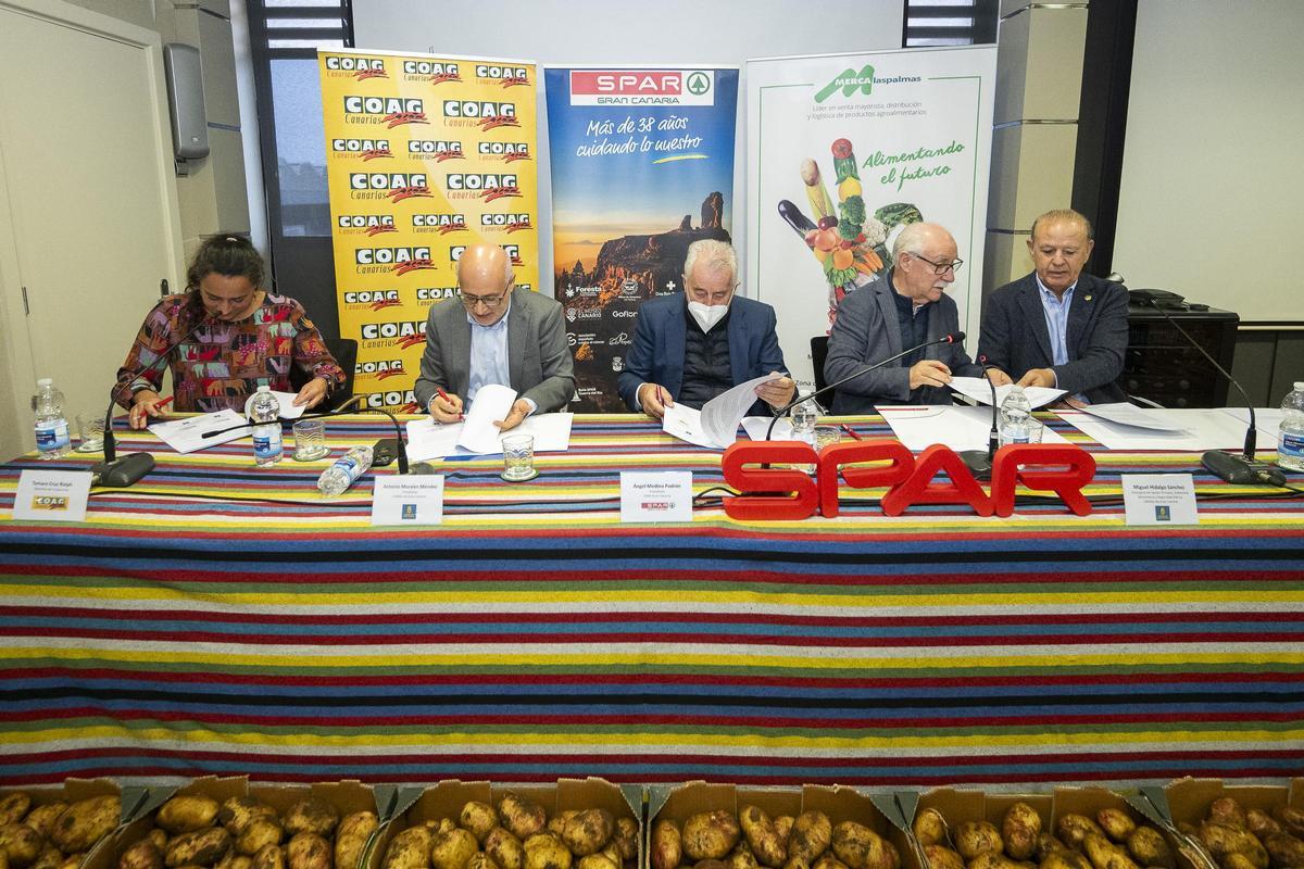 Firma del convenio para la comerciación de la papa local entre Spar Gran Canaria, instituciones y agricultores.