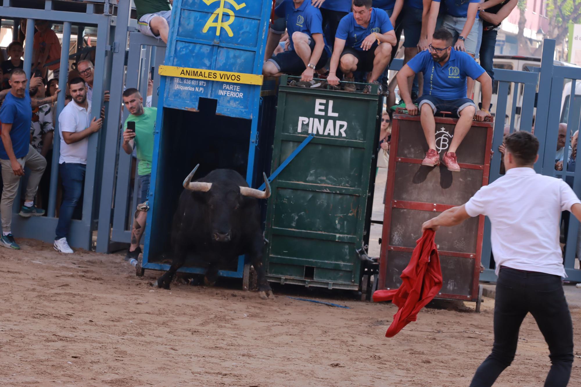 Momento en el que ha salido del cajón el primer toro de la tarde en Vila-real, este jueves.