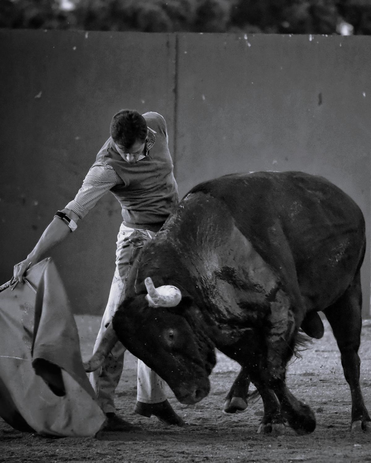Daniel Luque en un gran muletazo frente a un toro a puerta cerrada.