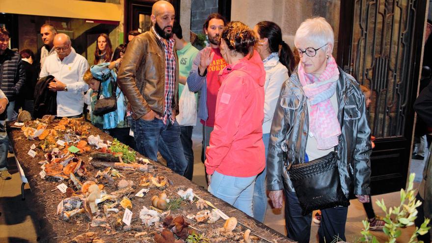 La nova Fira de la Terra del Solsonès tindrà tres mercats i una vintena de parades