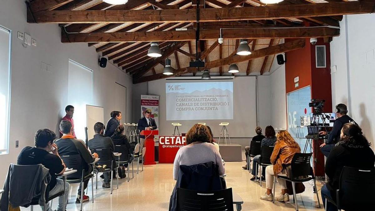 Un moment de la jornada sobre comercialització a la Seu | CCC