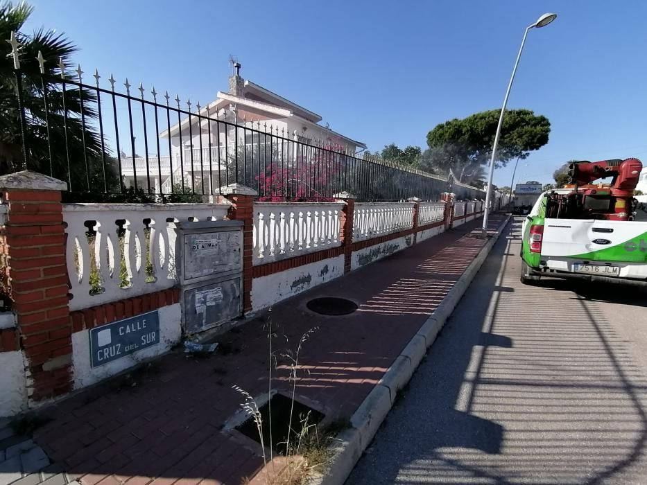 El Ayuntamiento despliega un plan de choque contra los mosquitos que este año es más intensa tras un largo periodo de lluvias primaverales que ha anegado las orillas de la laguna de Torrevieja