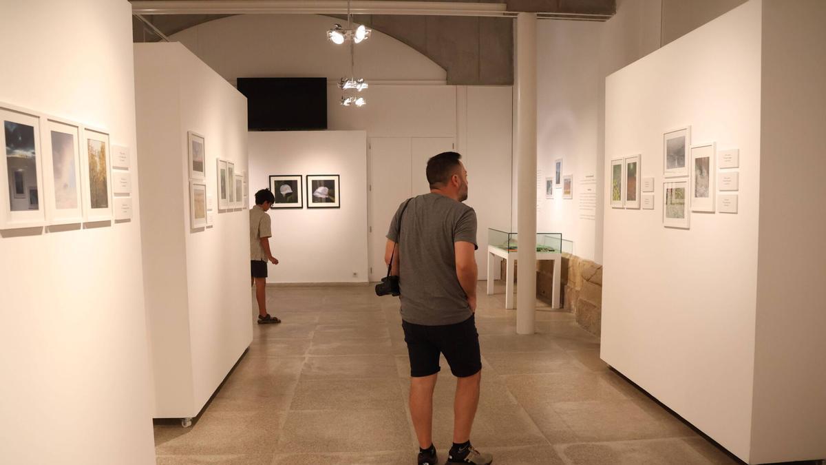 Público en la exposición de Josefa Lozano en la Biblioteca Pública de Zamora.
