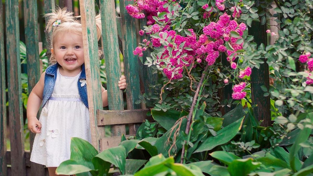 Plantas | Un producto de tu bebé te ayudará a que tus flores aguanten todo el verano