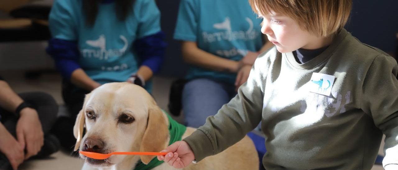 Un menor da de comer al perro Bourbon, antes de entrar a una consulta de Pediatría del hospital Reina Sofía, ubicada en el centro Castilla del Pino.