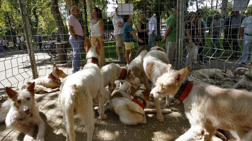 Intercaza cierra sus puertas con una caída de visitantes de casi un 30%