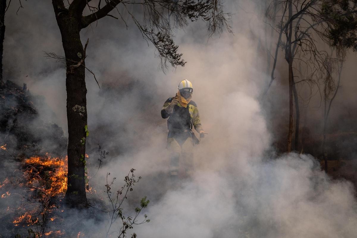 Fire Prevention Measures in Tenerife: Bonfires, Smoking in Recreational Areas, and Fireworks Prohibited