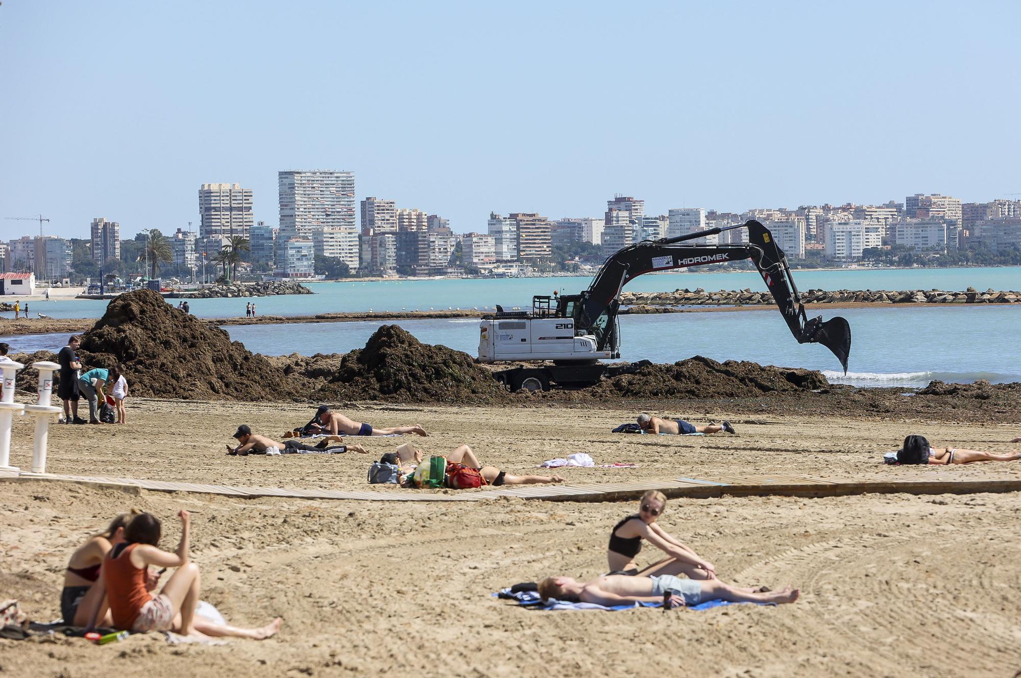 Playas llenas en Alicante mientras y limpieza de restos del temporal