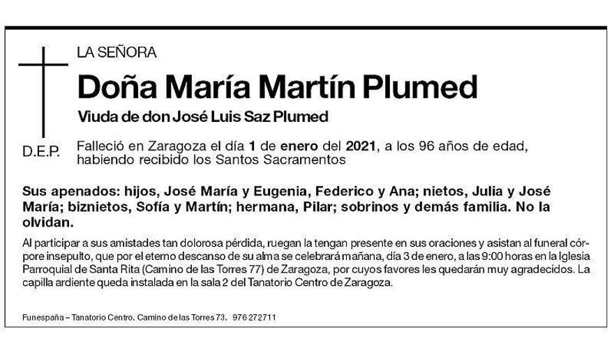 María Martín Plumed