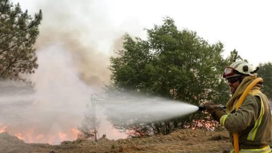 Els bombers apaguen les últimes flames del gran incendi.